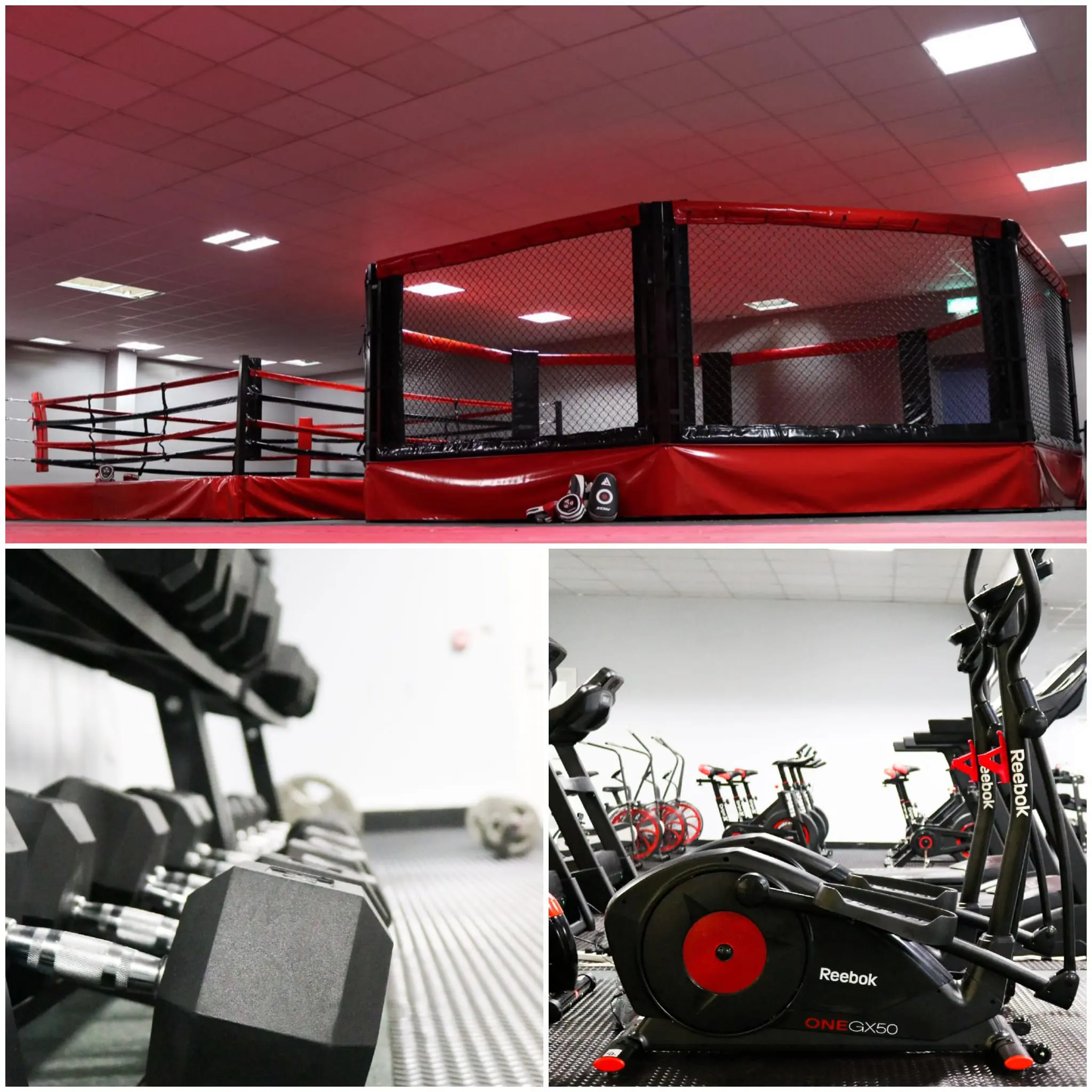 Discover the Best Women’s Fitness Gym in Watford