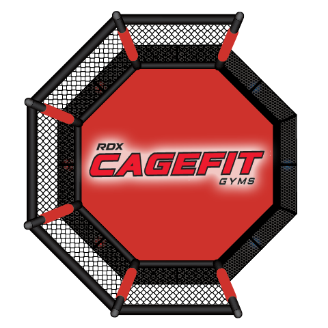 Best Fighting Gym for Children In Watford