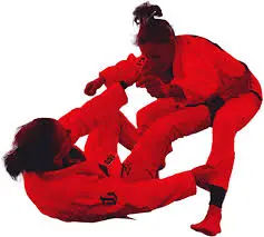 Ladies Only Martial Arts Watford Training 2025