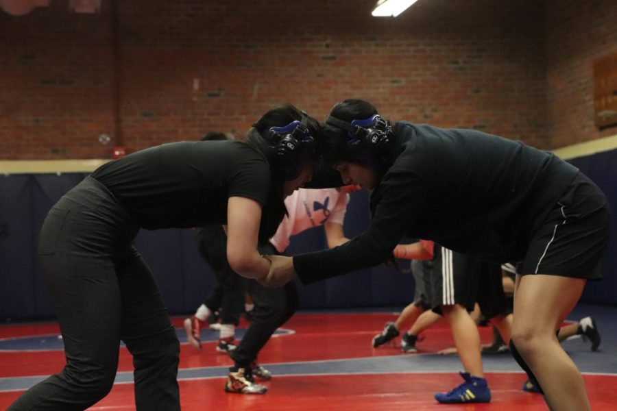 wrestling gym in Watford