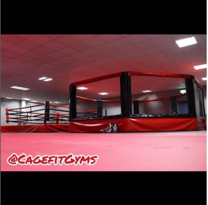 Mixed Martial Arts Gym in London